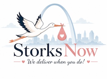 Storks Now Logo
